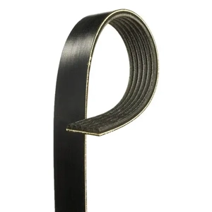 V Belt