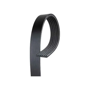 V Belt