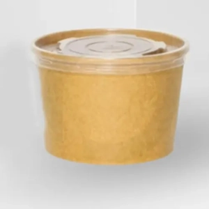 Disposable Food Container