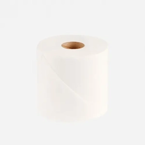 Toilet Tissue