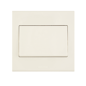 Electrical Switch