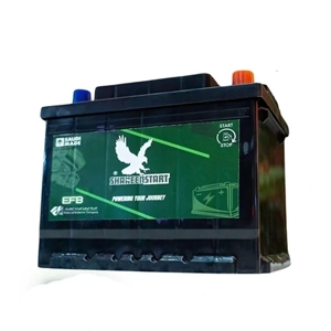 Vehicle Battery