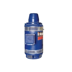 Hollowshaft Motor