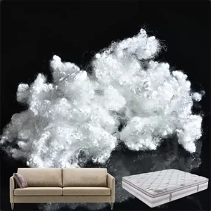 Polyester Fiber