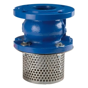 Foot Valve