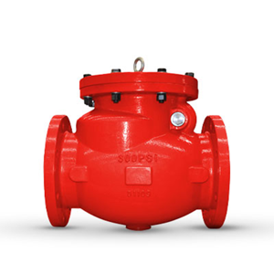 Check Valve