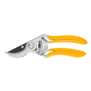 Pruning Shear