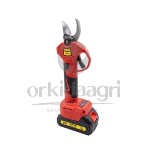 Pruning Shear