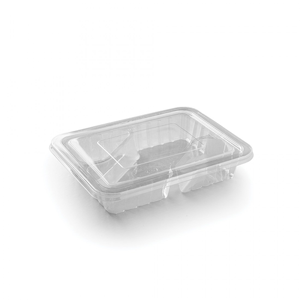 Disposable Food Container