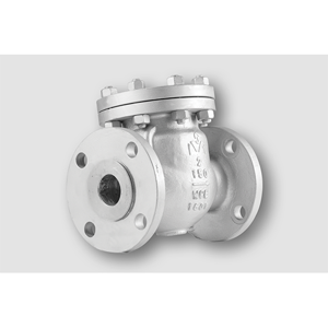 Check Valve