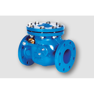 Check Valve