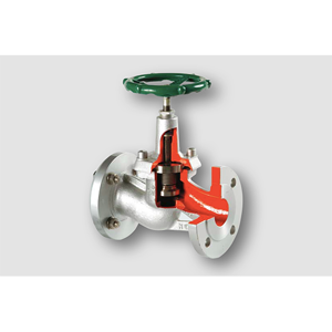 Globe Valve