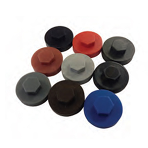 Screw Cover