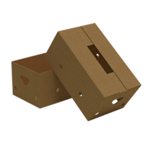 Packaging Box