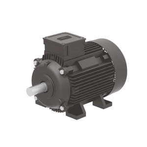 Synchronous Motor