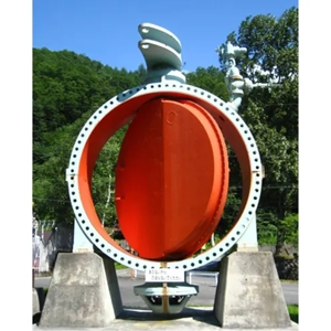Butterfly Valve