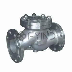 Check Valve
