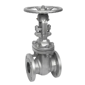 Gate Valve