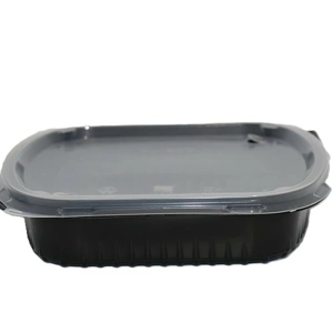 Disposable Food Container