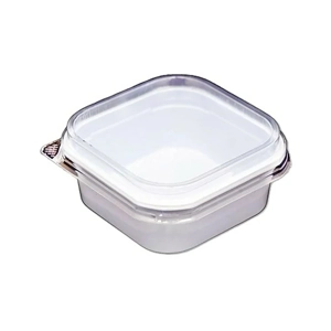Disposable Food Container