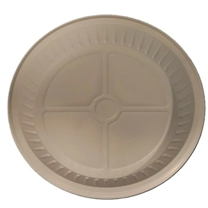 Disposable Food Tray