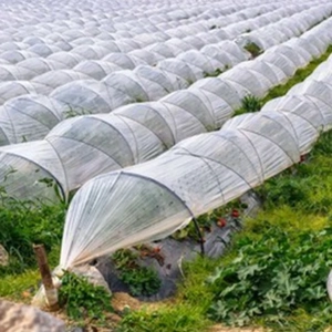Plastic Film