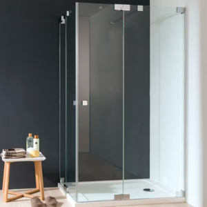 Shower Screen