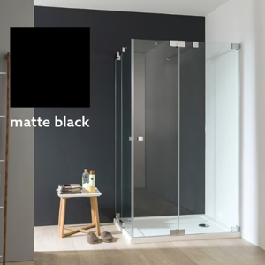 Shower Screen