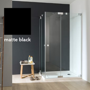 Shower Screen
