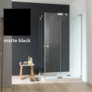 Shower Screen