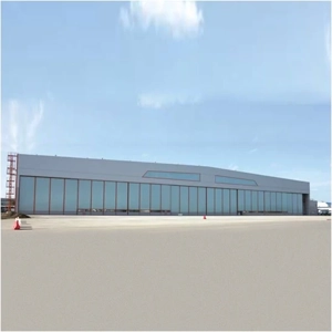Hangar Door
