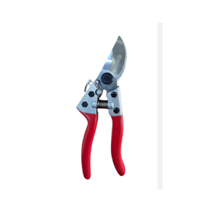 Pruning Shear