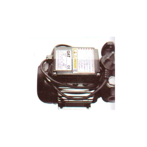 Transfer Pump