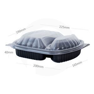 Disposable Food Container