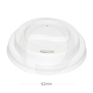 Disposable Lid
