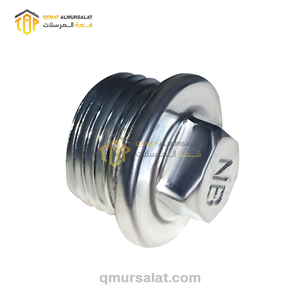 Pipe Plug