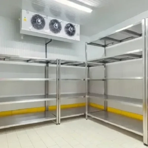 Portable Freezer Room