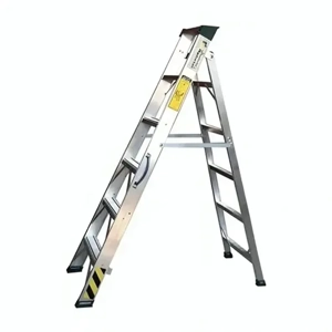 Ladder