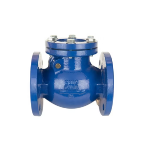 Check Valve