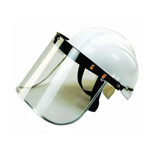 Facial Shield