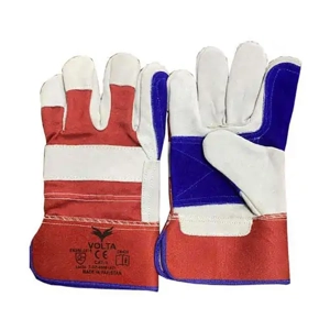 Protective Glove