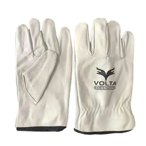 Protective Glove