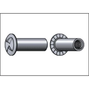 Bolt Assembly