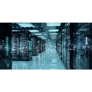 Information Technology Consultation Service
