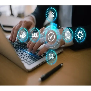 Information Technology Consultation Service