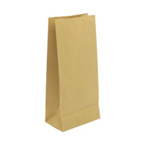 Paper Bag