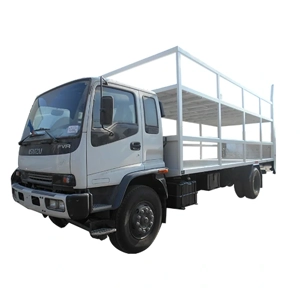 Cargo Truck