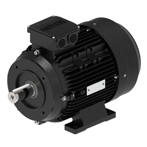 Pump Motor