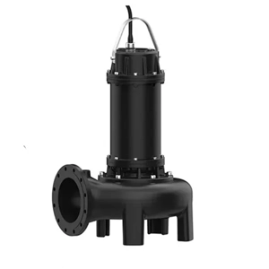 Sewage Pump