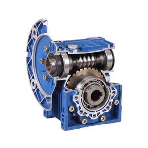 Worm Gear